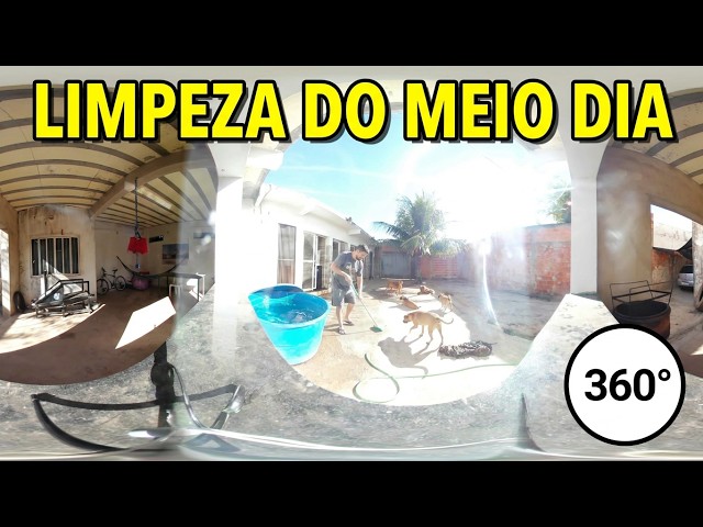 360° VIDEO MIDDAY CLEANING THIS IS PART OF DOG MANAGEMENT
