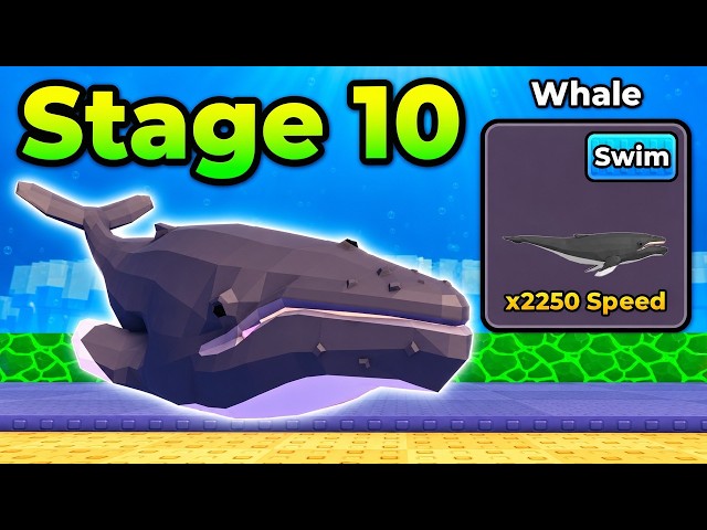 Beating NEW WORLD 5 STAGES in +1 Speed Evolve! (Roblox)
