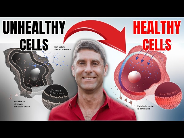 The Cellular Health Breakthrough: Simple Hacks for Energy, Longevity, and Repair