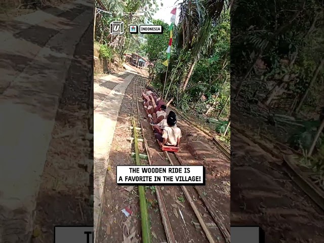 Traditional outdoor roller coaster 😲🎢🌳                               🎥: Viralhog