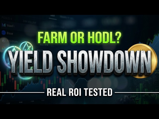 LP farming vs HODL.  Which strategy out performs?  Stocks vs Crypto vs Memes
