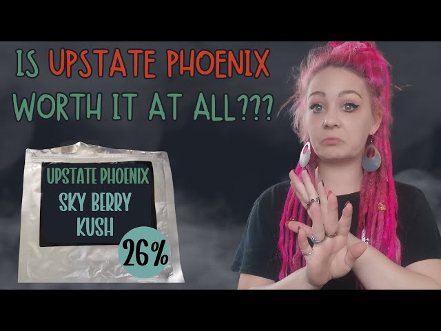 Can Upstate Phoenix Sky Berry Kush Change My Mind? UK 🥦 Review