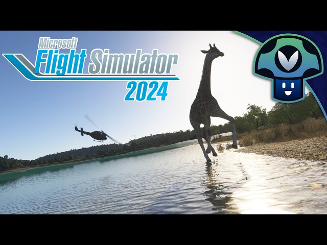 Vinny - Microsoft Flight Simulator 2024 (2026-09-22)