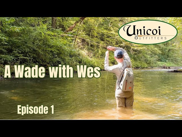 Small Stream Shoal Bass Fishing as Summer Turns to Fall | A Wade with Wes Ep. 1