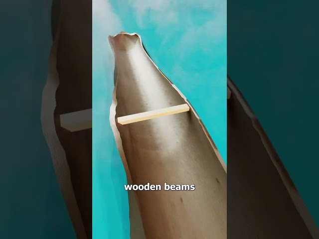 Turning A Tree Trunk Into A Canoe 😮