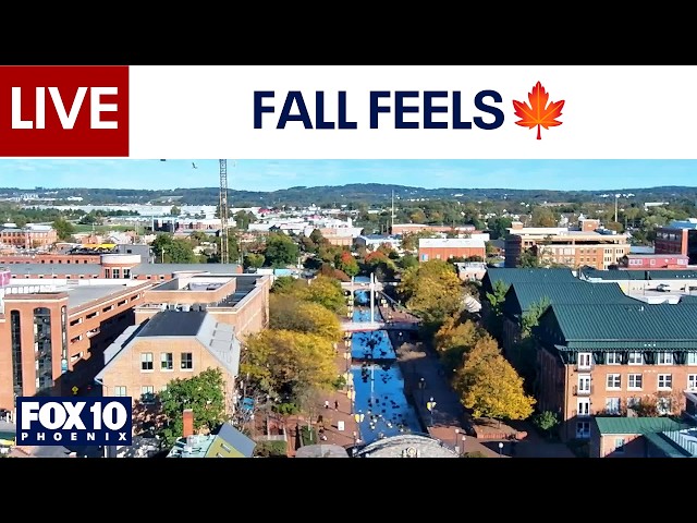 🔴LIVE: WEBCAMS around the world | October 18 | FOX 10 Phoenix
