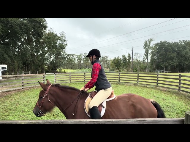 🐴💙 Foundation First. Riding Later