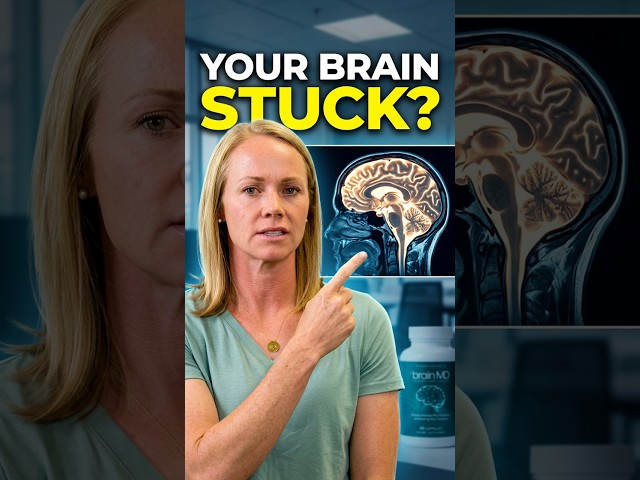 Is Your Brain Stuck in Fight or Flight? #Stress #BrainHealth #Focus