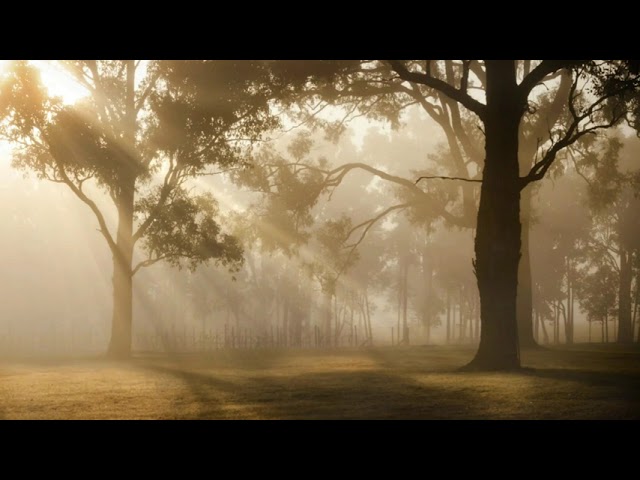 p.93 The Most Beautiful and Relaxing Piano