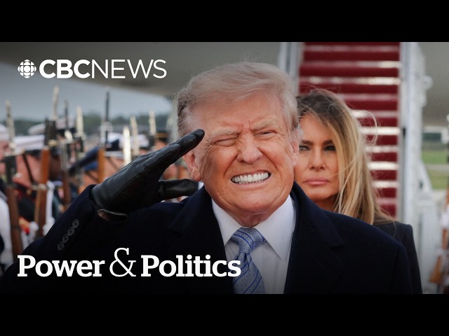 'You cannot be a sycophant with Donald Trump': former White House insider | Power & Politics
