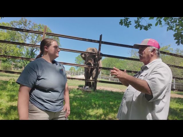 Sponsored Content: Asian Animal Conservation at the Dickerson Park Zoo