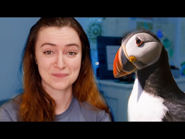 You made me write a song about puffins...