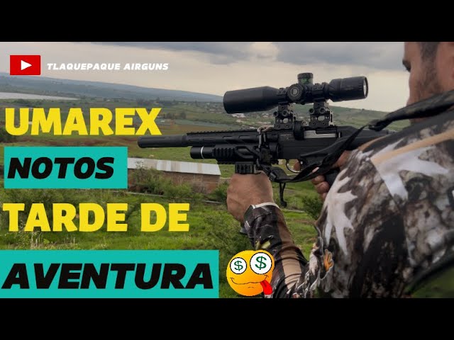 CACERIA DE TORTOLAS/ PALOMAS  Y CONEJOS CON RIFLES PCPC UMAREX NOTOS  EN  JALISCO