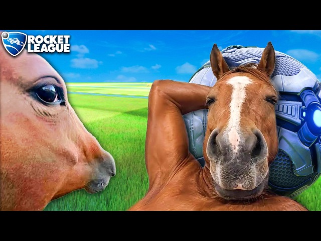 Rocket League, but we're beating a dead horse
