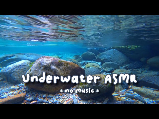 You’re Inside the Caribbean Waters 🌊 | Immersive ASMR Sleep Sounds (No Music)