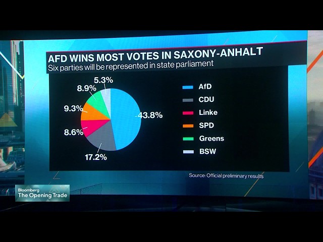 Germany's AfD Scores Best-Ever Result in State Election
