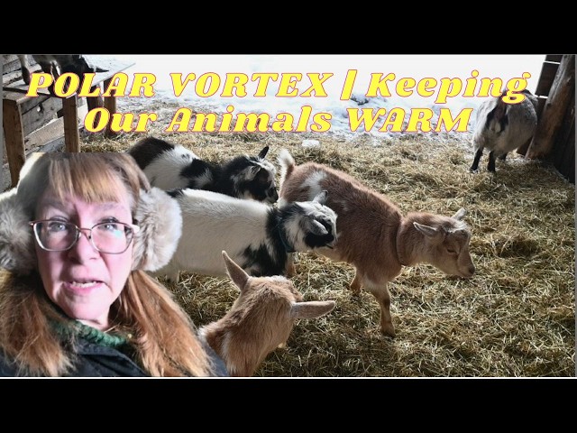 What WE Do To Keep OUR ANIMALS Warm In A POLAR VORTEX!