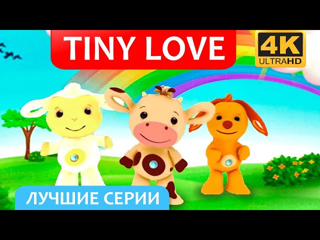 "Тини Лав" мультик для малышей - Развивающий мультфильм Tiny Love в 4K | Носики Курносики