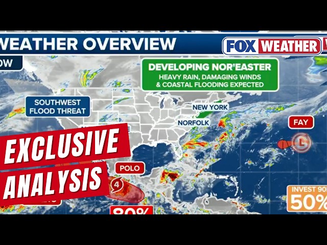 The Pacific Is Exploding With Activity As Polo Intensifies And Nolo Forms