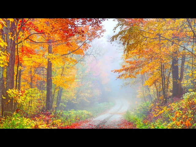 "A Hint of Autumn Across Vermont" Beautiful Relaxing Music, Peaceful Instrumental Music by Tim Janis