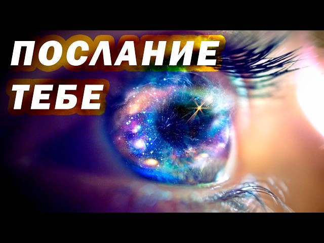 Холодный расчет или Эволюция Духа Честный разговор о главном страхе века