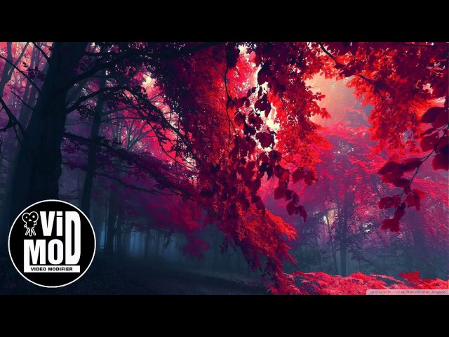Uplink - Still Need You feat  AWR  [VIDMOD]