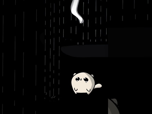 Protect my cat from the rain! #cute #funny #animation #interactive #meme