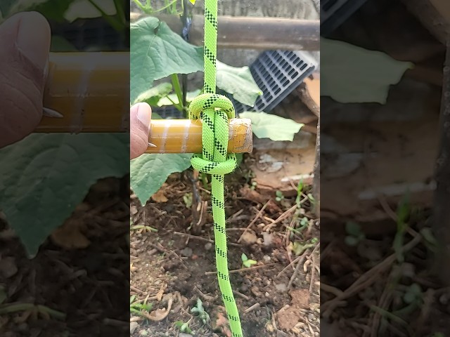 #tutorial #knot #rope #diy