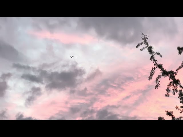 4K Sunset Timelapse Footage — Stray Cat's Sky CC BY, No Audio, No Filter Vol 27