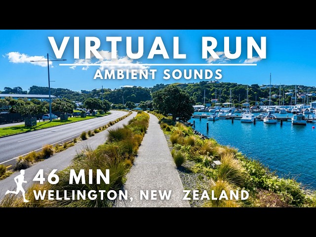 🍃 New Zealand 🇳🇿 | Wellington Waterfront | 46 Min Virtual Running Video For Treadmill | No Music