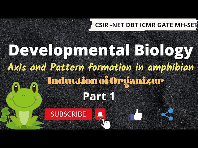 Axes and Pattern formation in Amphibian l Induction of Organizer l Developmental Biology l Part 1