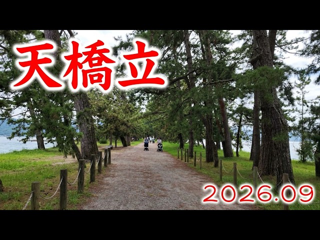 Amanohashidate (Kyoto Prefecture), Walking the Quiet Sea of Japan, September 23, 2026 #AsaSakuIRL...