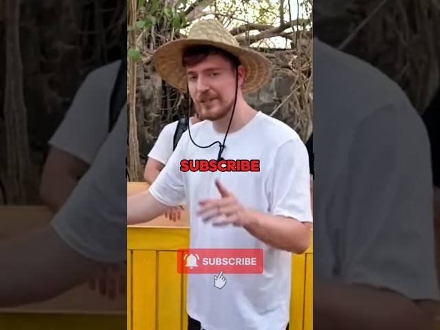 MrBeast’s Biggest Wholesome Moment❤️‍🩹 #usa