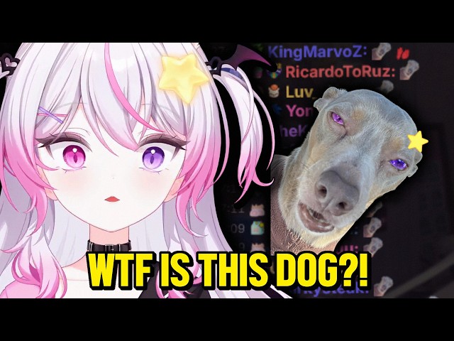 Anny is Getting Welcomed by Kokonuts Dog...
