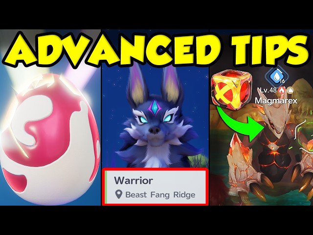 ADVANCED ANIIMO TIPS AND TRICKS! Best Aniimo To Catch / Start Warrior Quest Immediately / And More!