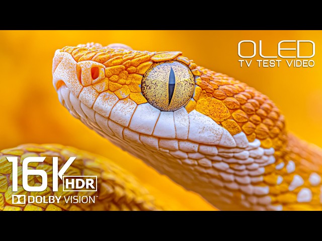 Ultra Clarity OLED Display test | 16K Dolby Vision 120 fps for 8K Video/4K Video ULTRA HD TV
