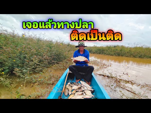 Found a hotspot where fish get stuck every time #SettingNets #FishingNet