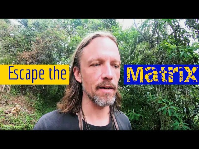 Escape the Matrix!-Self Realization- Self Actualization-Self Liberation