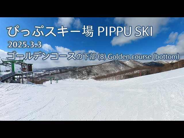 (360) ぴっぷスキー場 PIPPU SKI -  ゴールデンコースの下部 Golden course (bottom)