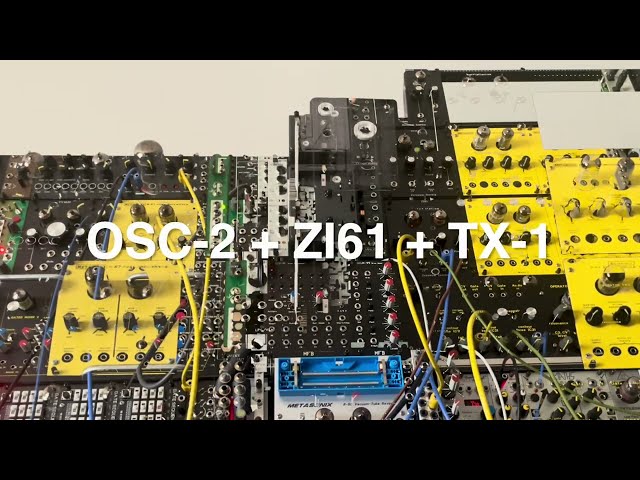 9/14/26 (pubescent portamento) Zerosum Inertia ZI61 + Metasonix TX-1 + MFB OSC-2 + (…)