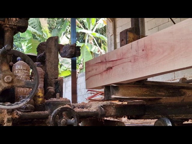 Watch How This Heavy-Duty Sawmill Turns Logs Into Fine Planks!