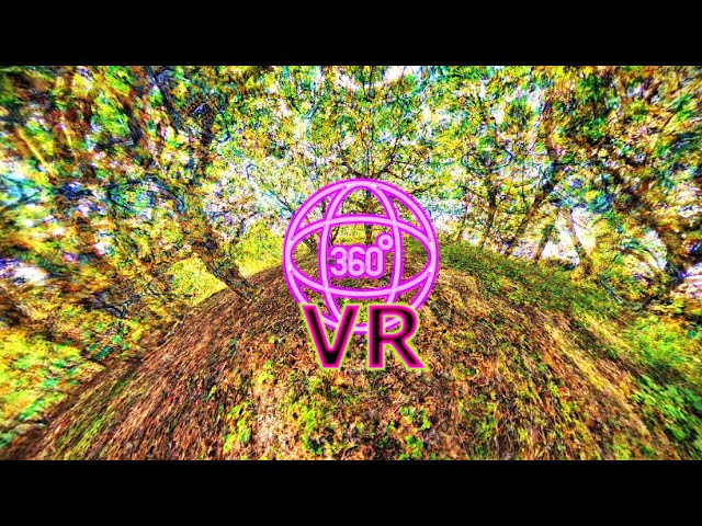 The DMT Experience (360 VR trip simulation)