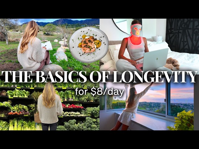 Longevity On A Budget: How To Live Like a Biohacker on $8/Day