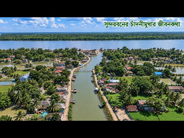 সুন্দরবনের উপকূলে জোয়ার ভাটার নোনা জলে চাঁদনীমুখা গ্রামের জীবনকথা || Sundarbans