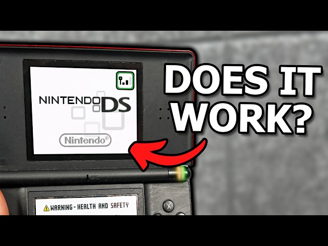 Playing the Nintendo DS ONLINE in 2026... WHAT HAPPENS?
