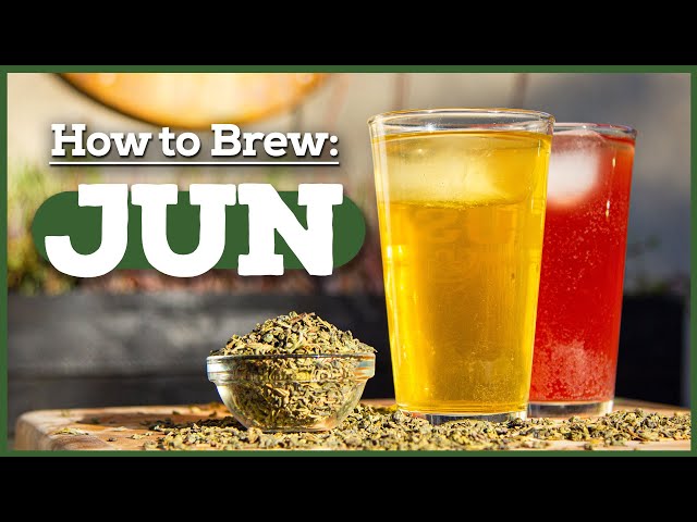 What is JUN Tea? How to Make Jun Kombucha