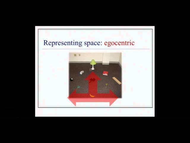 Michael Proulx: Visual Impairment and Spatial Cognitive Neuroscience