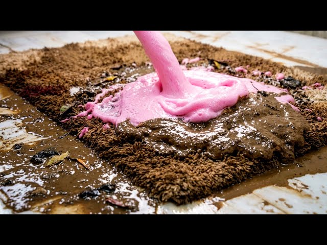 Extremely Muddy Shaggy Rug Cleaning Transformation | Deep Dirt Removal ASMR.Insanely Satisfying ASMR
