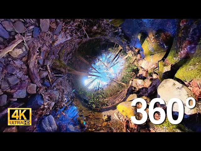 ❄️ 360 Winter Stream Ambiance | Pure Nature ASMR for Sleep & Study