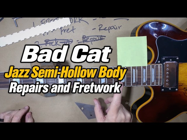Bad Cat Manhattan Sunset Jazz Semi-Hollow Guitar |  Repairs & Fretwork